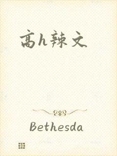 高h辣文