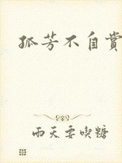 孤芳不自赏小说