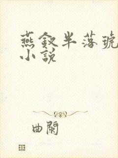 燕钗半落琥珀糖小说