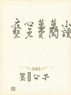 夜心万万小说完整免费阅读全文