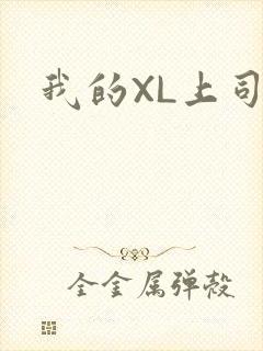 我的XL上司