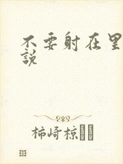 不要射在里面小说