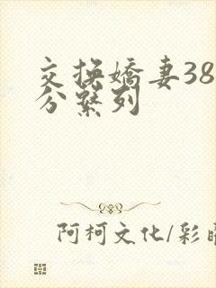 交换娇妻38部分系列