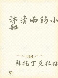沐清雨的小说全部