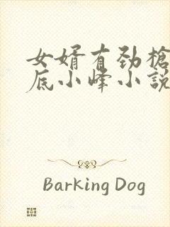 女婿有劲枪枪到底小峰小说