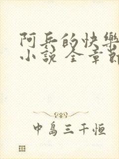 阿兵的快乐生活小说 全章节阅读免费