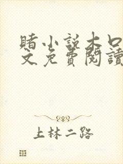 赌小说木口银全文免费阅读笔趣阁