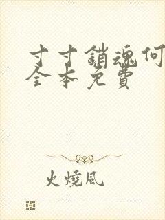 寸寸销魂何生祥全本免费封面