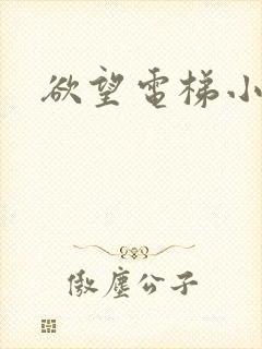 欲望电梯小说封面