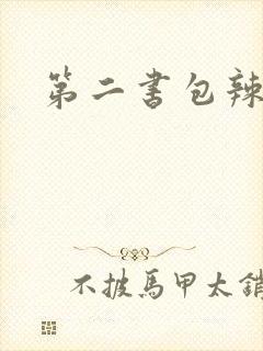 第二书包辣文