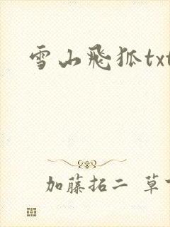 雪山飞狐txt