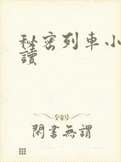 秘密列车小说阅读