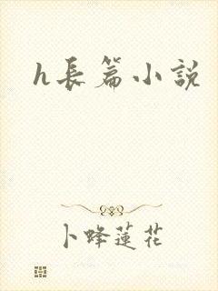 h长篇小说