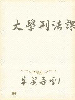 大学刑法课