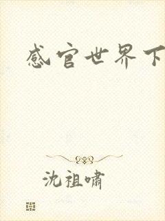 感官世界下载