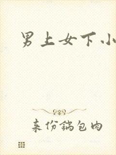 男上女下小说