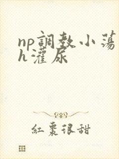 np调教小荡货h灌尿