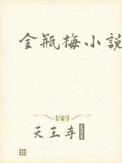 金瓶梅小说