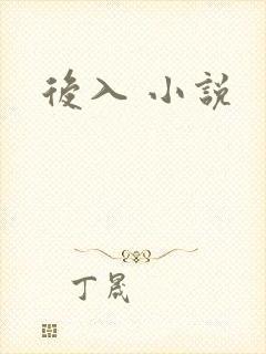 后入 小说