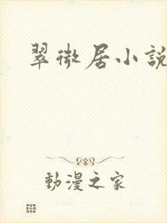 翠微居小说