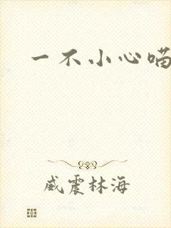 一不小心喵上你