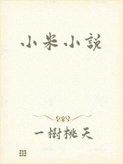 小米小说