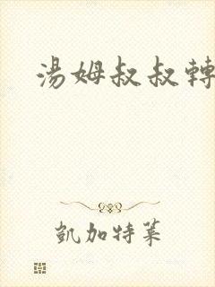 汤姆叔叔转接口