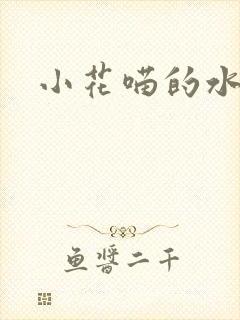 小花喵的水蜜桃封面