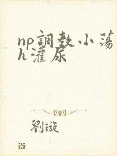 np调教小荡货h灌尿