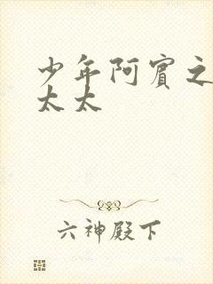 少年阿宾之房东太太