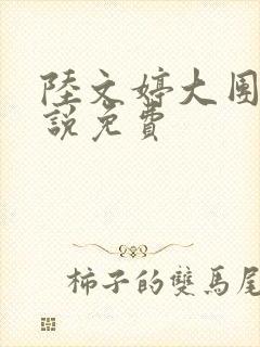 陆文婷大团圆小说免费封面