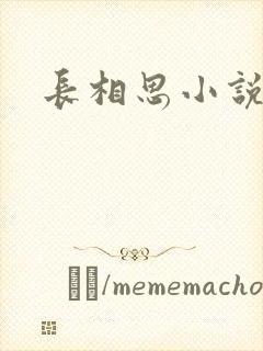 长相思小说原著