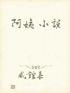 阿姨 小说