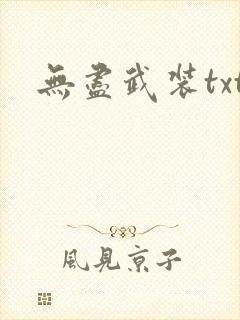 无尽武装txt