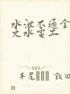 水泄不通金银原文水电工