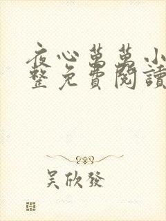 夜心万万小说完整免费阅读全文
