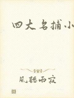 四大名捕小说