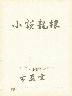 小说龙根