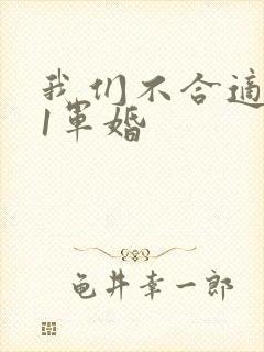 我们不合适1v1军婚