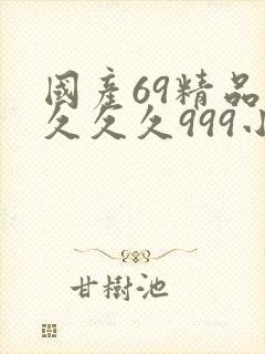 国产69精品久久久久999小说