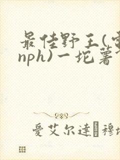 最佳野王(电竞nph)一坨薯饼