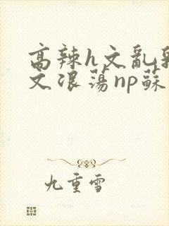 高辣h文乱乳h文浪荡np苏夏