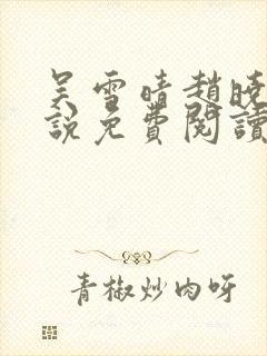 吴雪晴赵晓东小说免费阅读