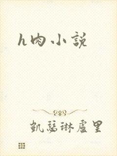 h肉小说