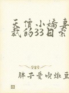 天价小娇妻,总裁的33日索情全文免费