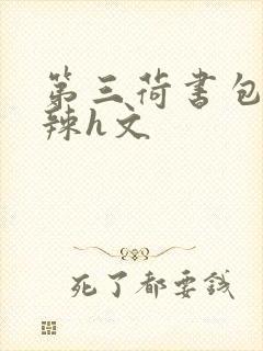 第三荷书包网高辣h文