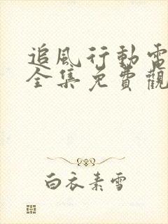 追风行动电视剧全集免费观看