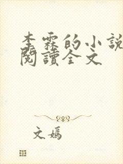 李霖的小说免费阅读全文