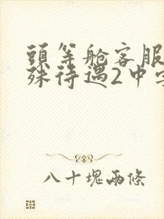 头等舱客服的特殊待遇2中字