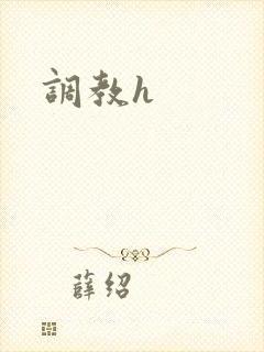 《调教h》小说封面
